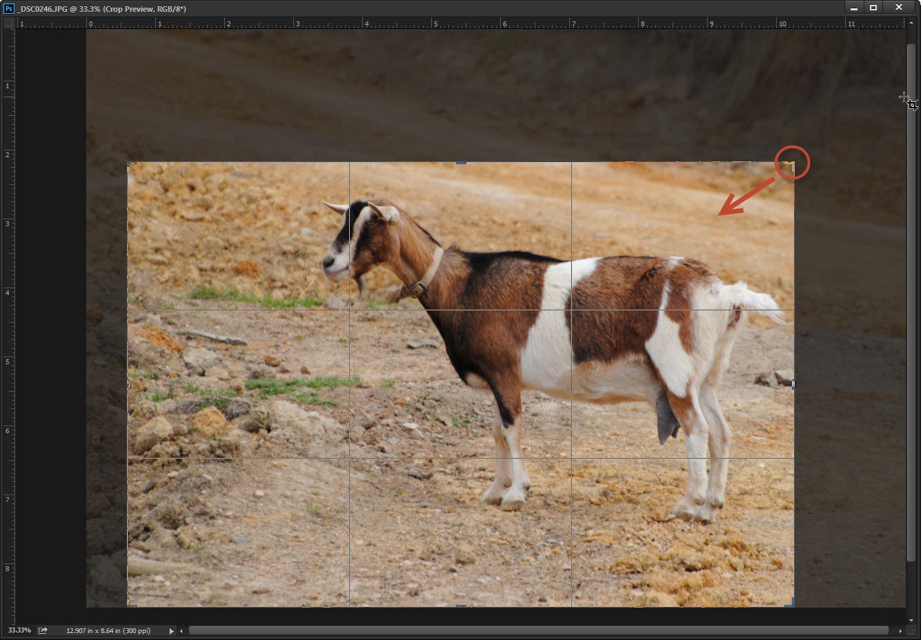 Basic-Crop-In-Photoshop1