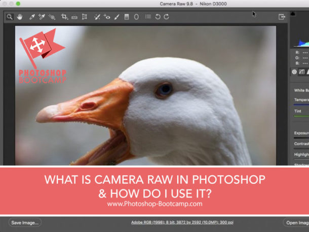 what-is-camera-raw-and-how-do-i-use-it-photoshop-for-beginners